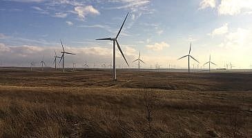 Wind Farm manşet